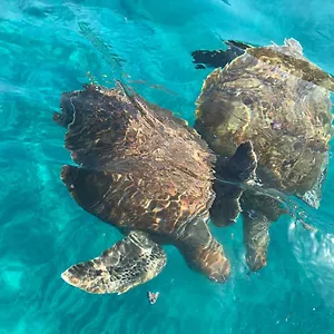 Aquiles Eco 3*, São Pedro Cabo Verde